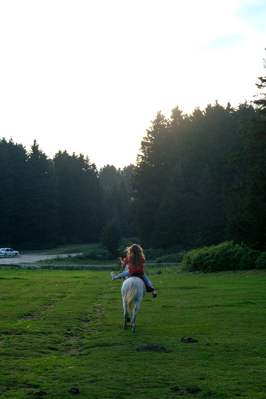 Riders galloping through golden meadow