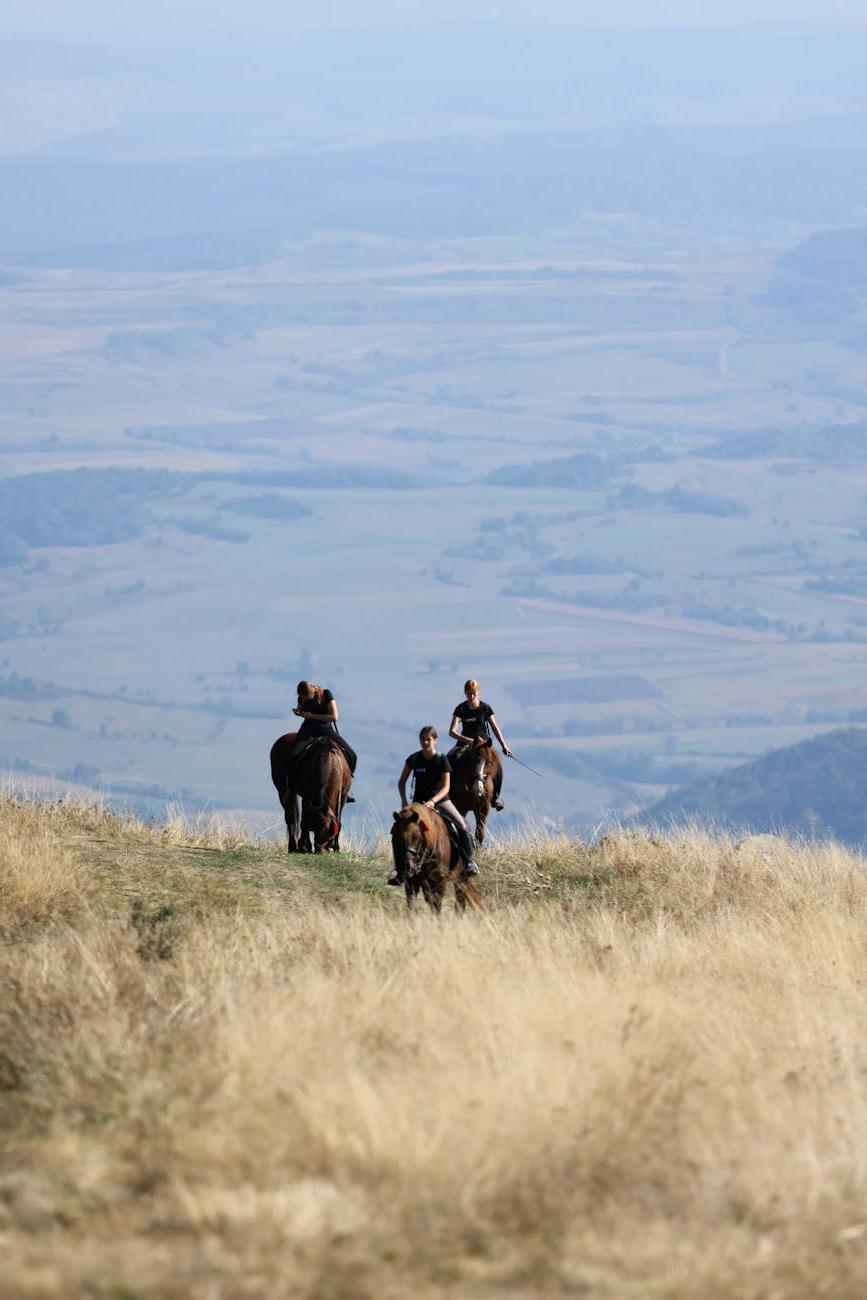 Riders enjoying mountain vista views