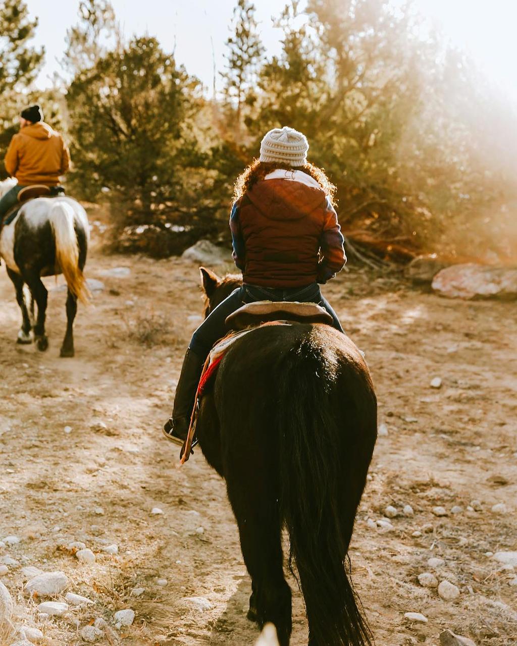 Our beautiful horse ranch with stables