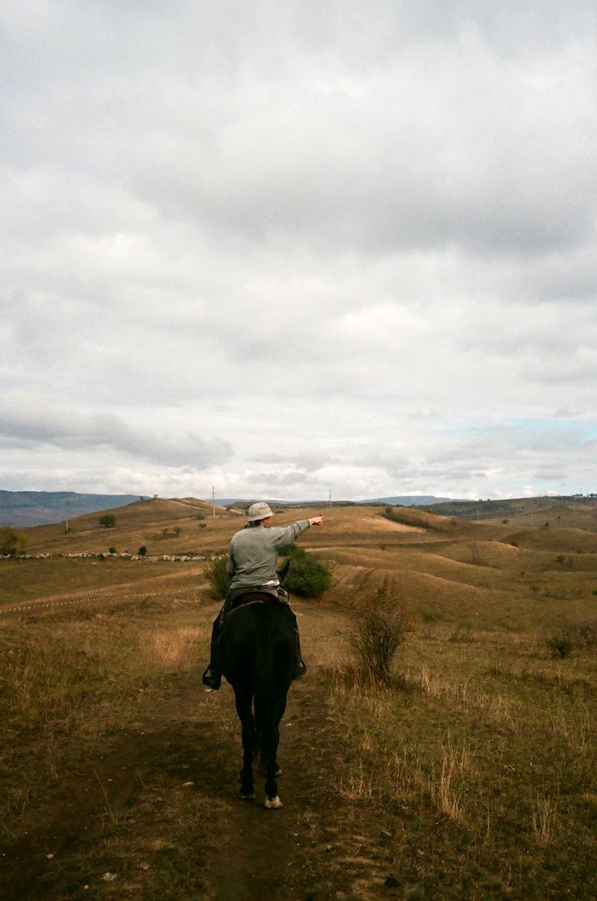 Horseback riding through scenic mountain trail