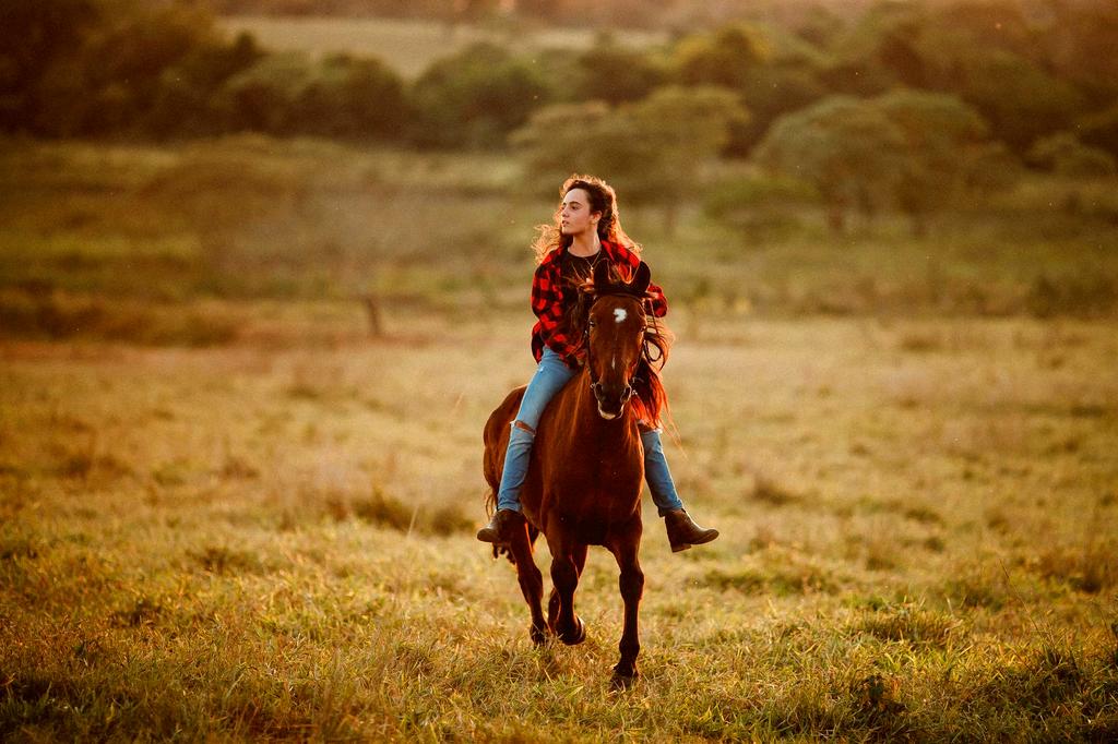 Sunset Meadow Tour Experience
